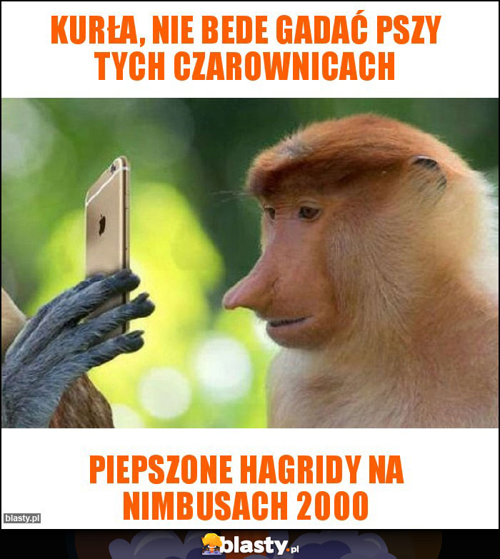 Kurła, nie bede gadać pszy tych czarownicach