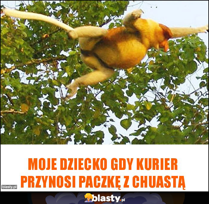 MOJE DZIECKO GDY KURIER PRZYNOSI PACZKę Z CHUASTĄ