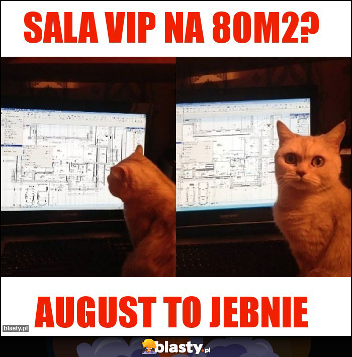 Sala VIP na 80m2?