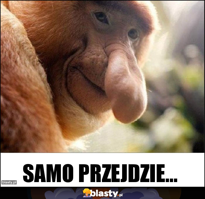 Samo przejdzie...