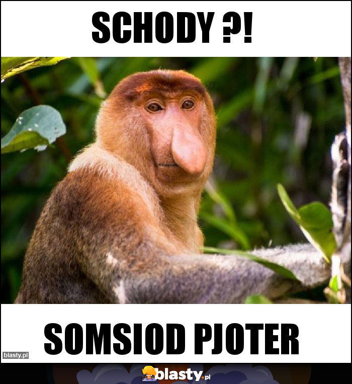 Schody ?!