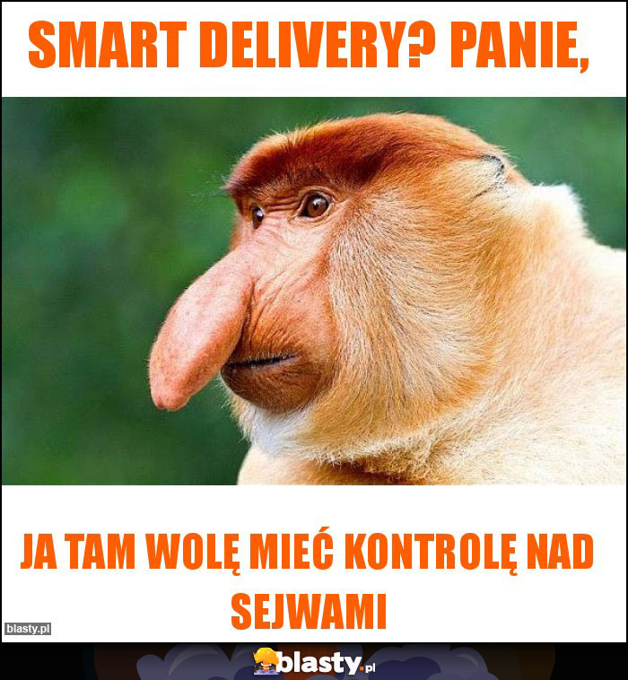 Smart Delivery? Panie,