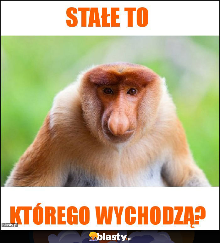 Stałe to