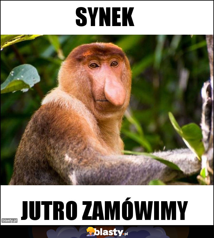 Synek