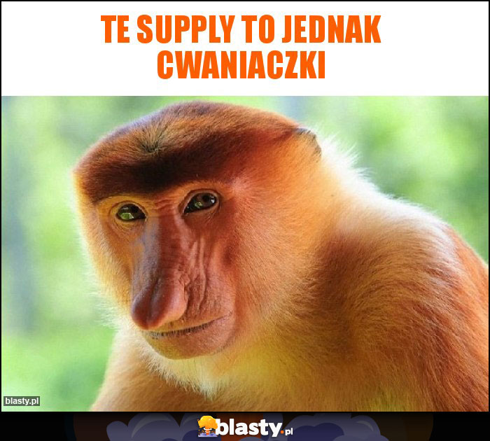 TE SUPPLY TO JEDNAK CWANIACZKI