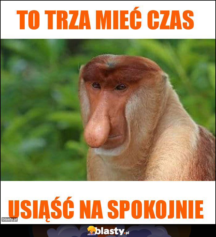 TO TRZA MIEĆ CZAS