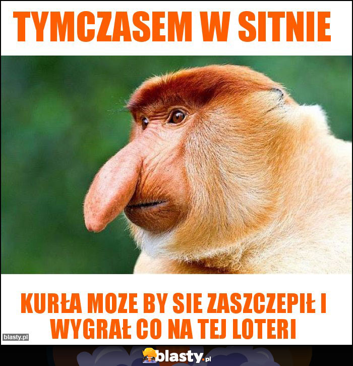 Tymczasem w Sitnie