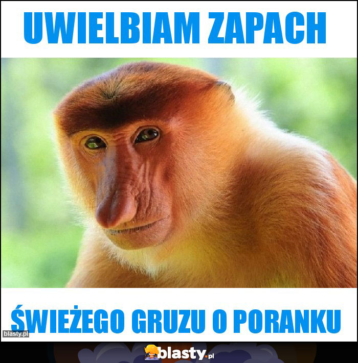 uwielbiam zapach