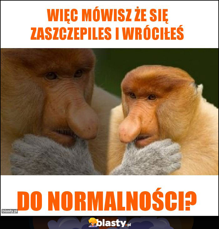 Więc mówisz że się zaszczepiles i wróciłeś