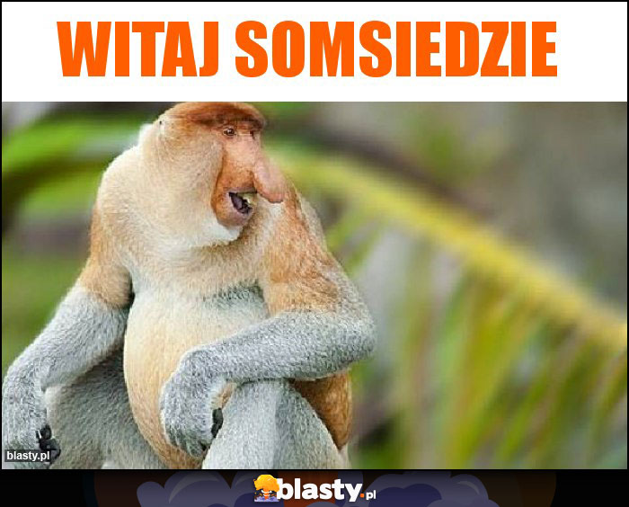 Witaj somsiedzie