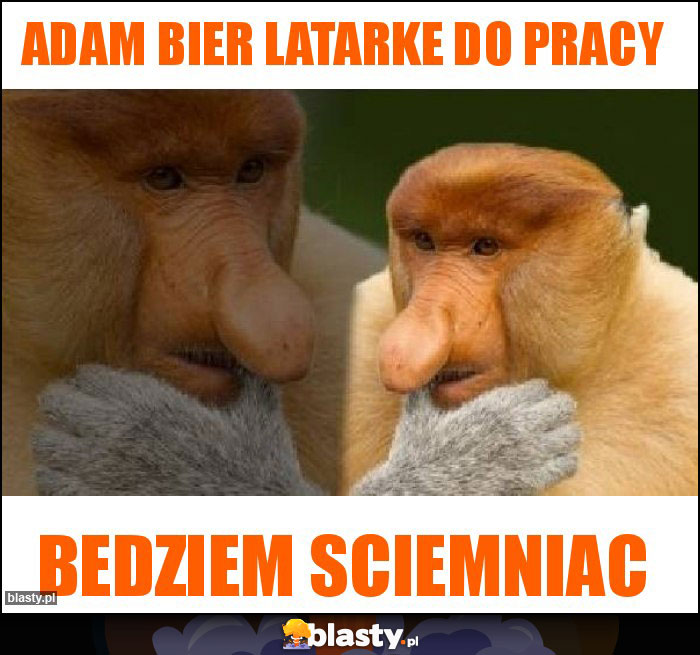 Adam bier latarke do pracy