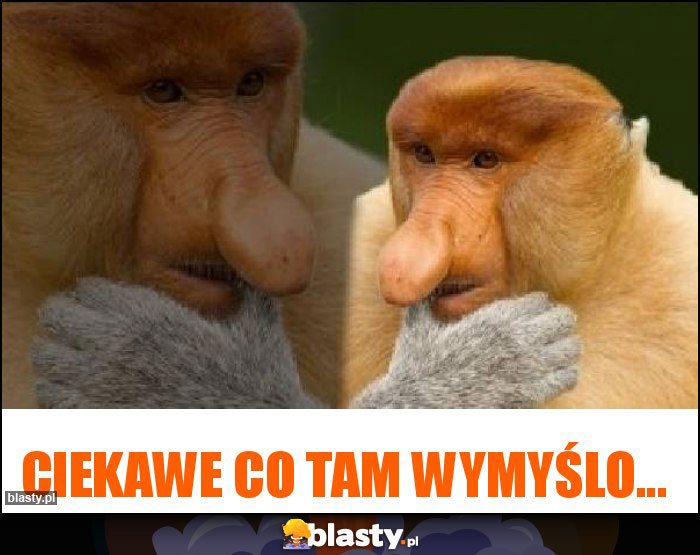 Ciekawe co tam wymyślo...