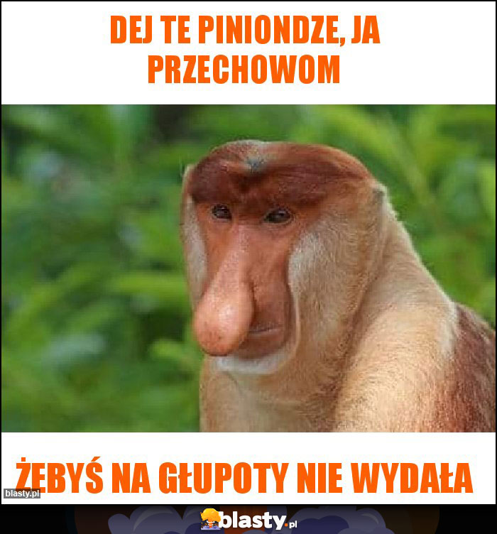 DEJ TE PINIONDZE, JA PRZECHOWOM