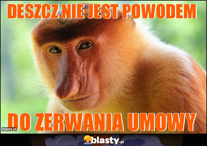 DESZCZ NIE JEST POWODEM