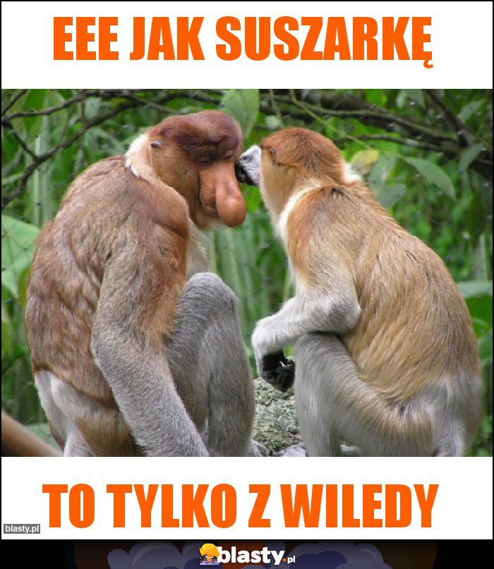 Eee jak suszarkę