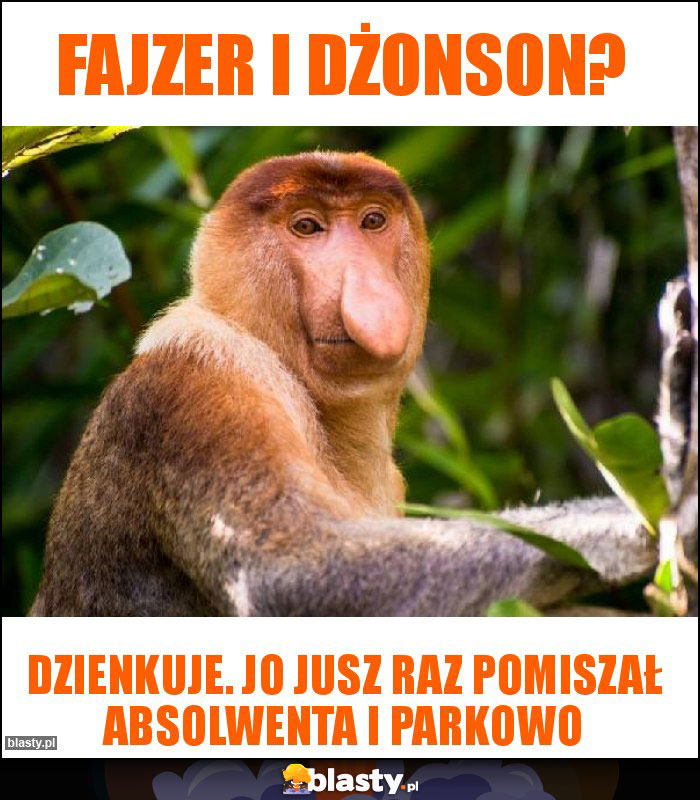 Fajzer i dżonson?