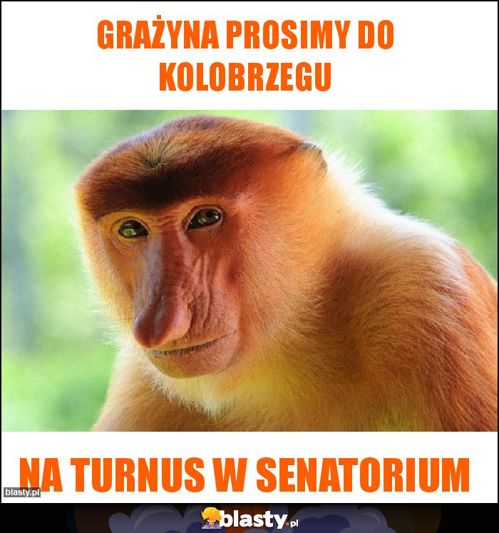 Grażyna prosimy do kolobrzegu