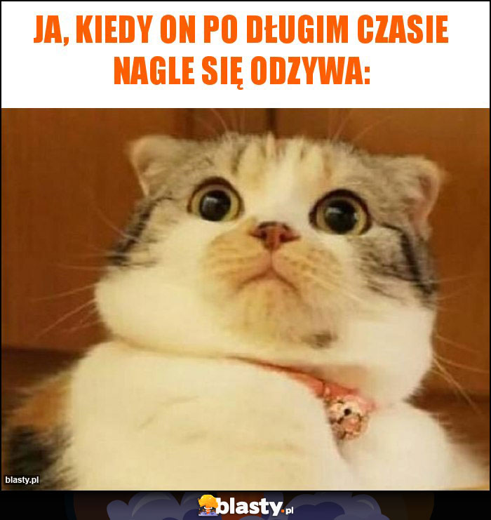 Ja, kiedy on po długim czasie nagle się odzywa: