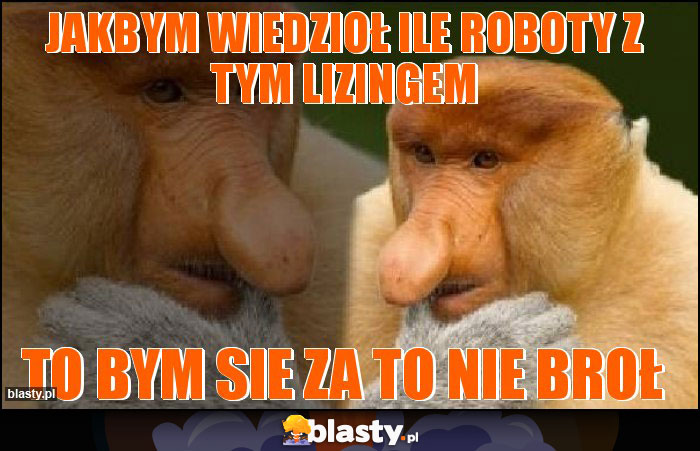 JAKBYM WIEDZIOŁ ILE ROBOTY Z TYM LIZINGEM