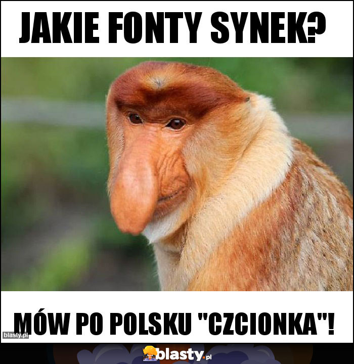 Jakie fonty synek?