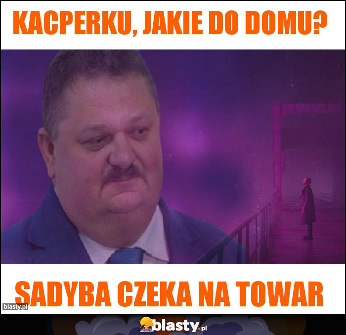 Kacperku, jakie do domu?