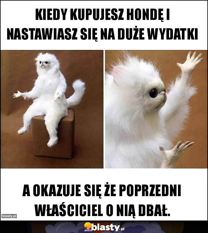 Kiedy kupujesz hondę i nastawiasz się na duże wydatki