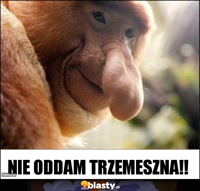 Nie oddam trzemeszna!!