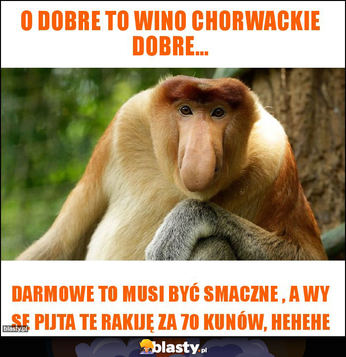 o dobre to wino chorwackie dobre...