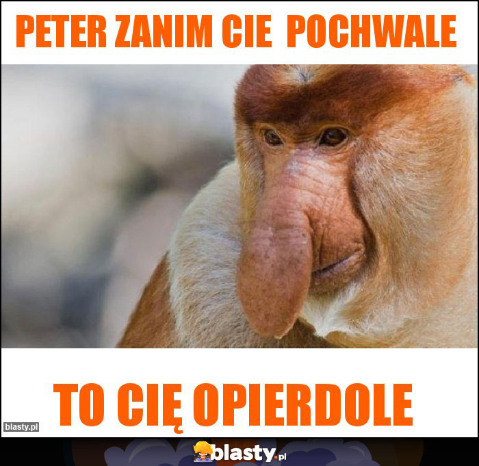 Peter zanim cie  pochwale