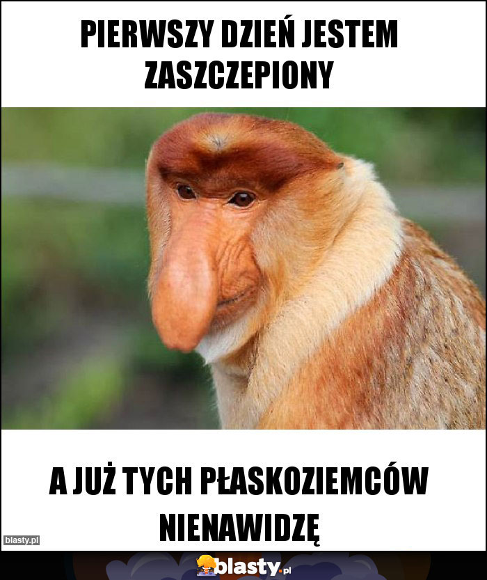 Pierwszy dzień jestem zaszczepiony