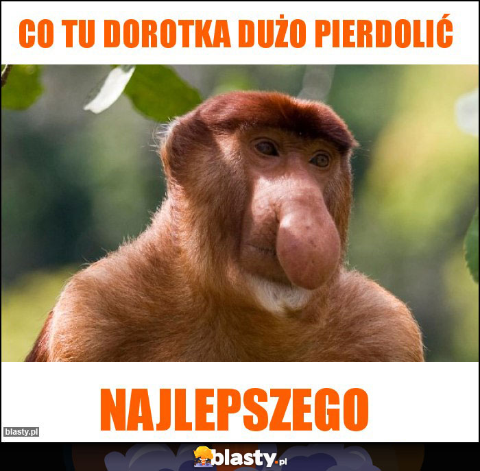 Co Tu Dorotka dużo pierdolić