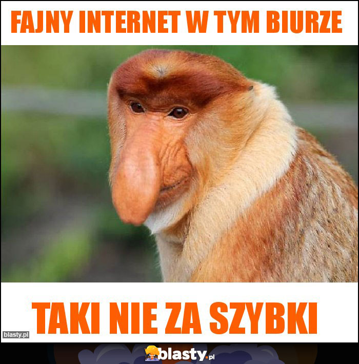 Fajny internet w tym biurze