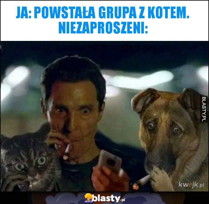 Ja: powstała grupa Z kotem. Niezaproszeni: