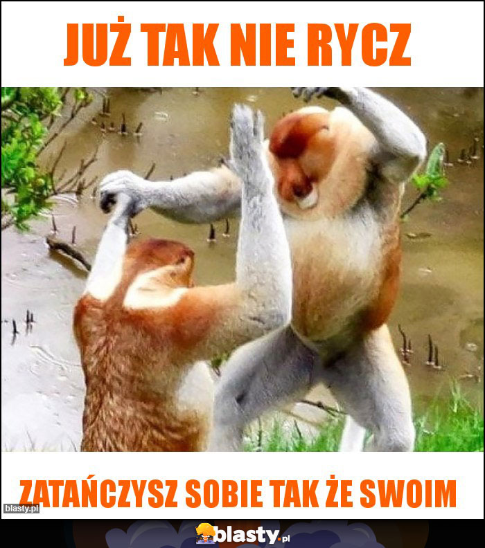 Już tak nie rycz