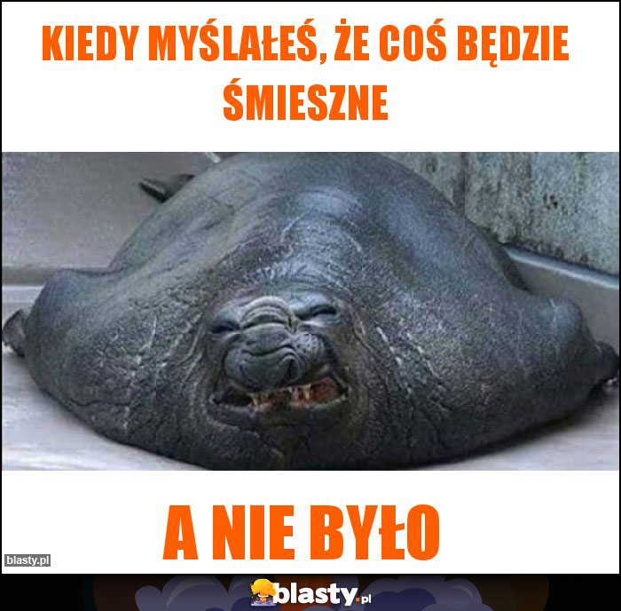 Kiedy myślałeś, że coś będzie śmieszne