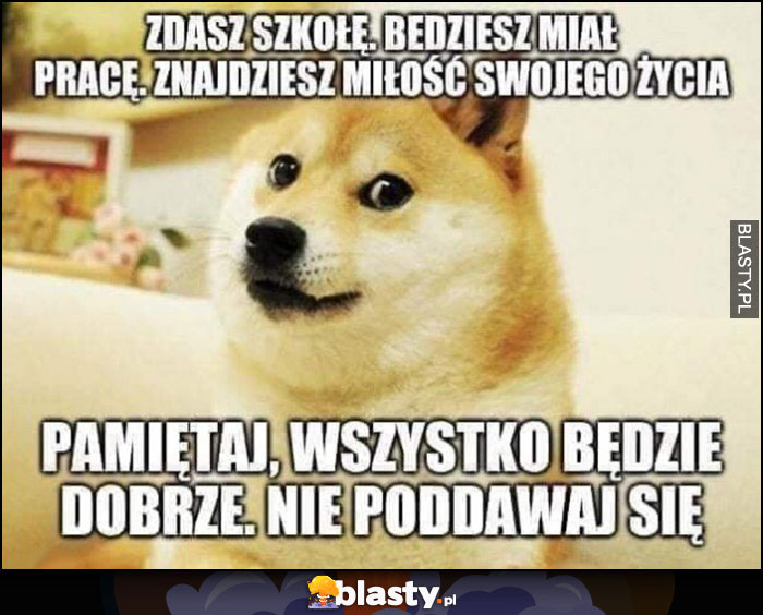 Pieseł doge zdasz szkołę, znajdziesz pracę i miłość życia, pamiętaj wszystko będzie dobrze, nie poddawaj się