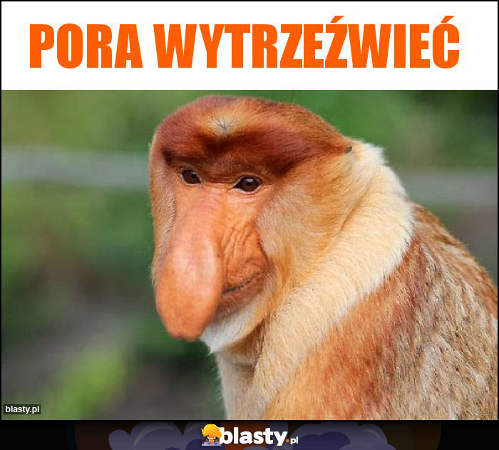 Pora wytrzeźwieć