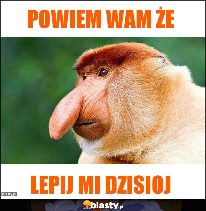 Powiem wam że