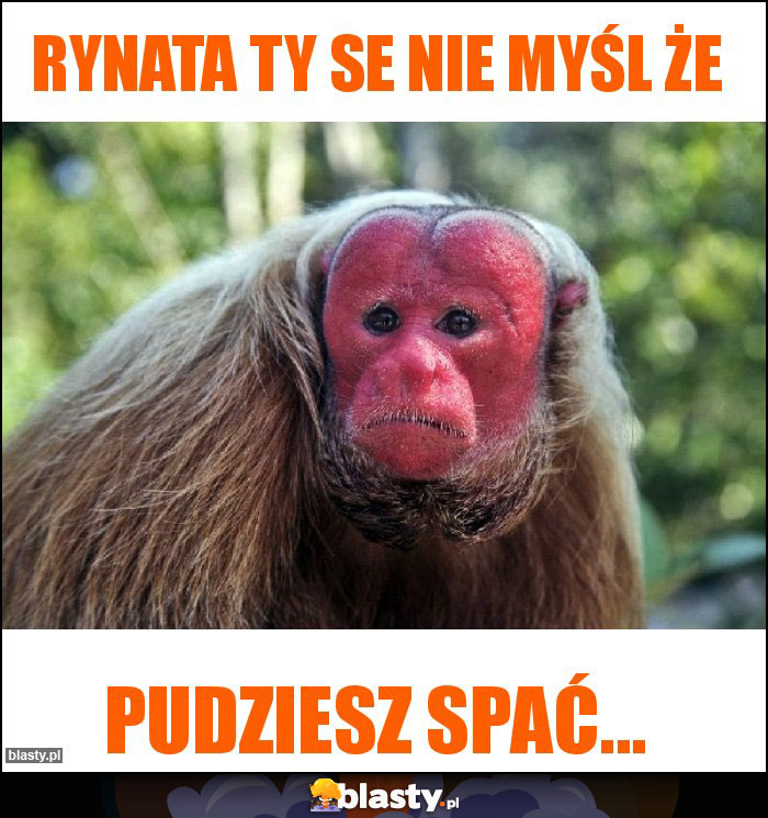 Rynata Ty se nie myśl że