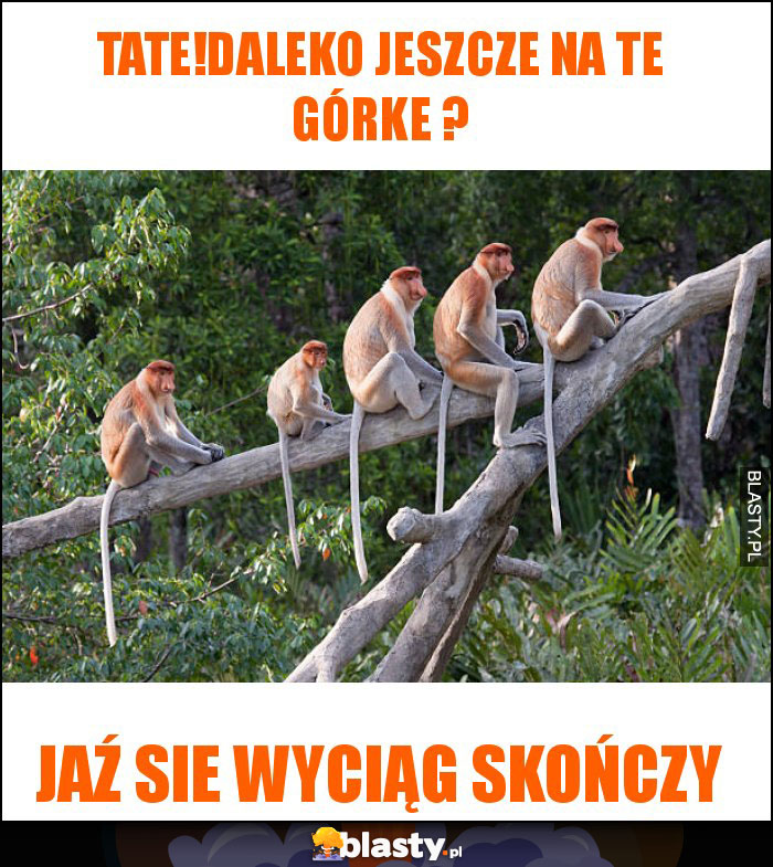 tate!daleko jeszcze na te górke ?