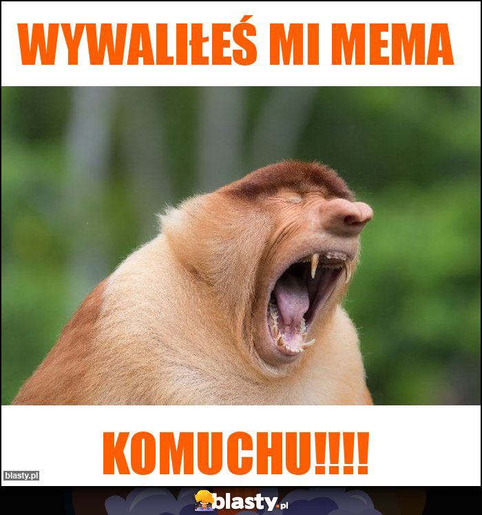 WYWALIŁEŚ MI MEMA