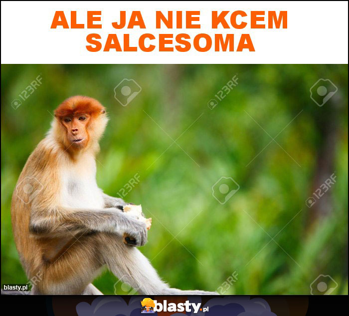 ALE JA NIE KCEM SALCESOMA