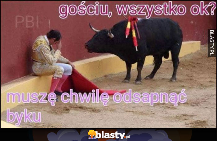 Byk torreador gościu wszystko ok? Muszę chwilę odsapnąć byku