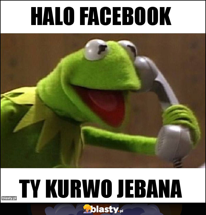 Halo facebook