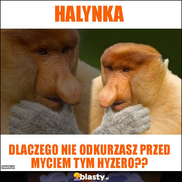 Halynka