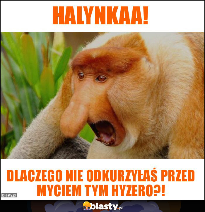 Halynkaa!