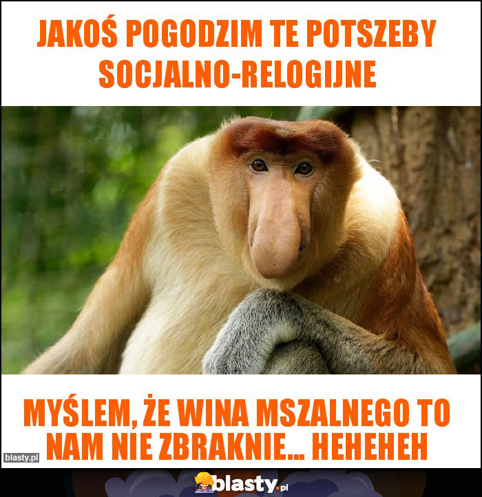 jakoś pogodzim te potszeby socjalno-relogijne