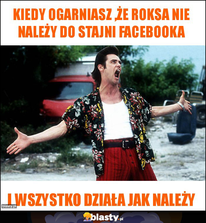 Kiedy ogarniasz ,że roksa nie należy do stajni facebooka