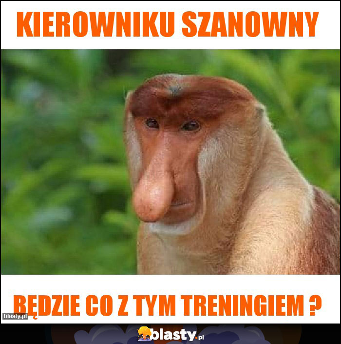 Kierowniku szanowny