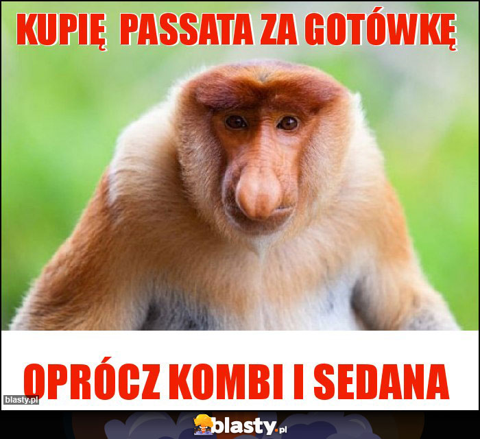 kupię  passata za gotówkę